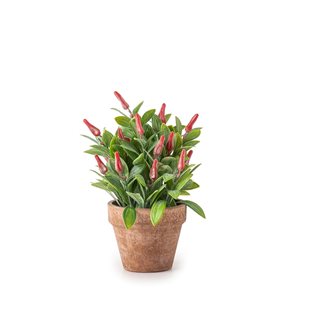 Artificial Chili pepper in pot 9.5x21 cm  Artificial plants
