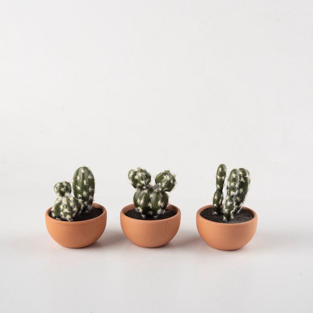 Artificial Cactus in pot 10.5-13 cm in 3 designs