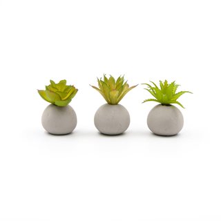 Artificial Succulent in pot 8 cm - Set of 3  Artificial plants