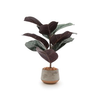 Artificial Ficus in small pot 36 cm  Artificial plants