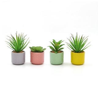 Artificial Succulent in pot in 4 colors  Artificial plants