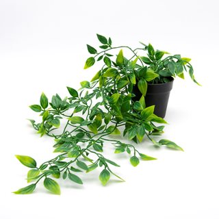 Hanging Artificial Plant in small pot 13 cm  Artificial plants