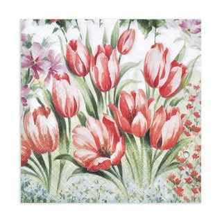 Χαρτοπετσέτες Tulip blossom 33x33 εκ. 20 τεμάχια  Χαρτοπετσέτες-Χαρτοπετσετοθήκες