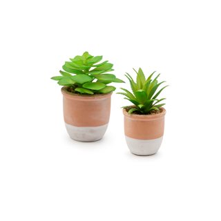 Artificial Succulent in small pot 15 cm in 2 designs  Artificial plants