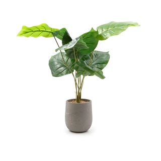 Artificial Ficus in pot 52 cm  Artificial plants